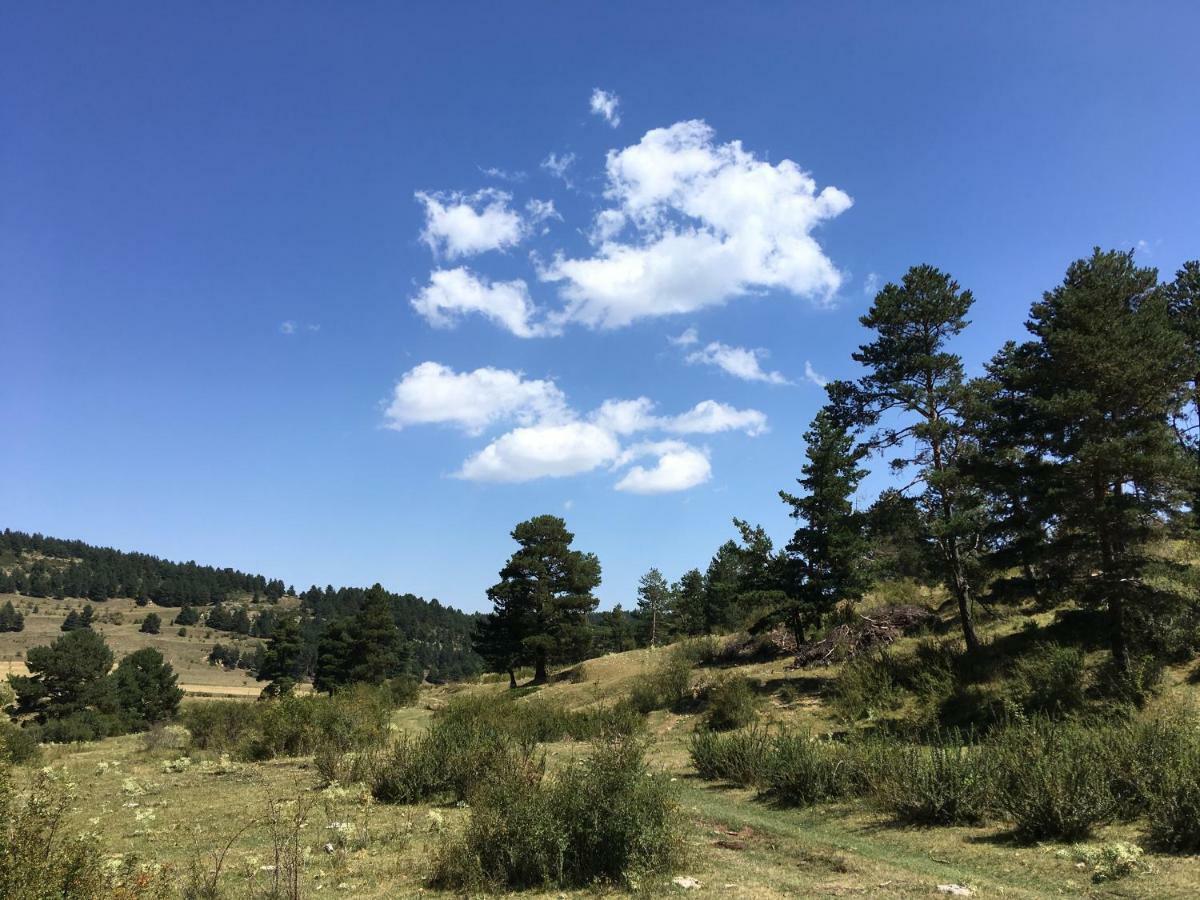 La Sabina Fortanete